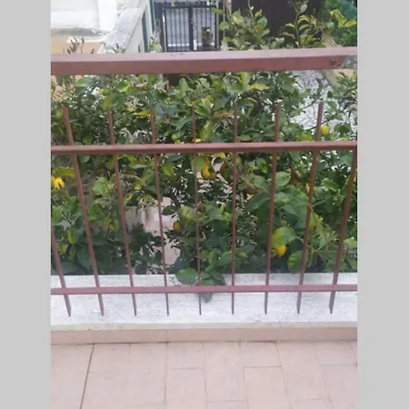 Appto Limone