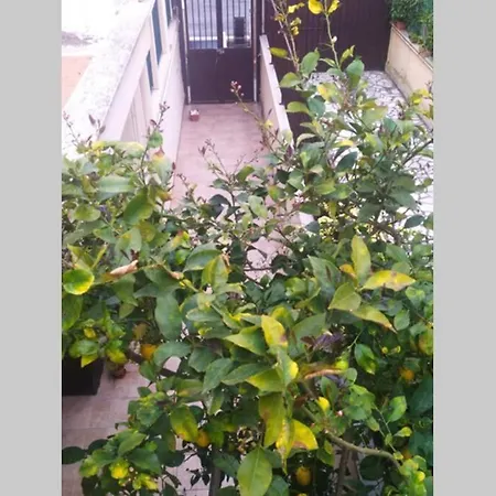 Apartamento Appto Limone Lido di Ostia